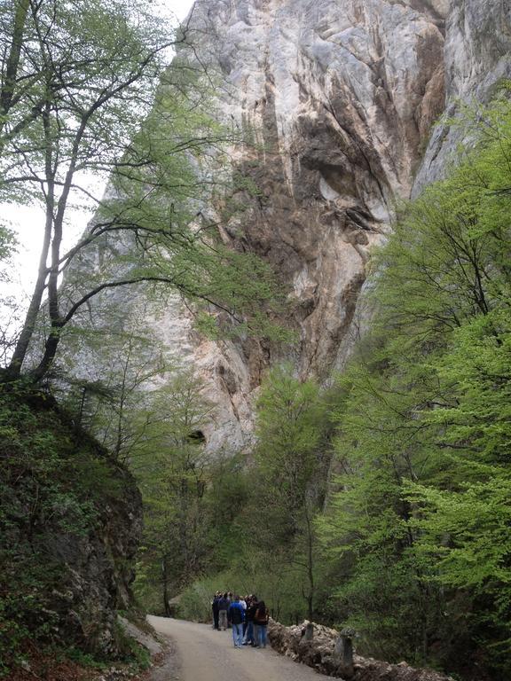 Rosenville Rîşnov Dış mekan fotoğraf