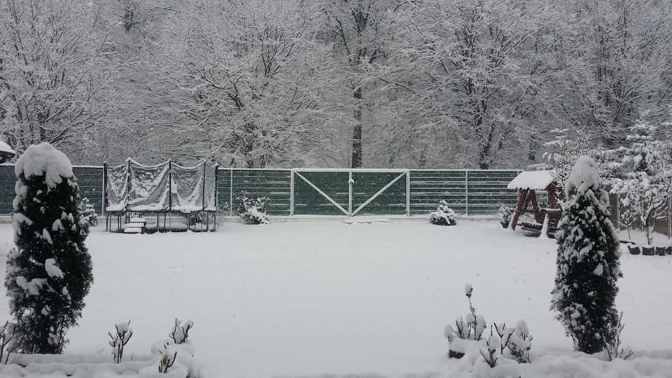 Rosenville Rîşnov Dış mekan fotoğraf