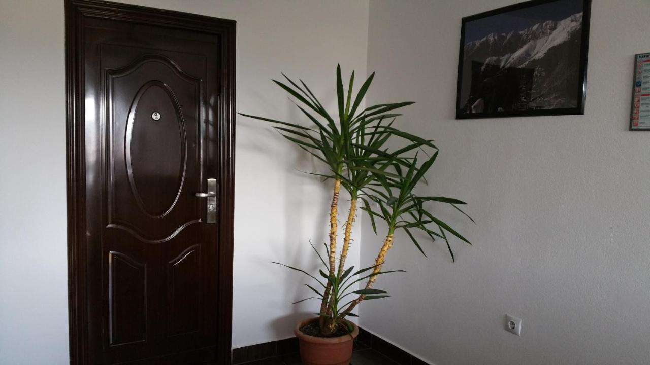 Rosenville Rîşnov Dış mekan fotoğraf